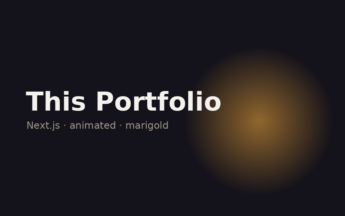 This Portfolio